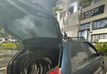 GCM de Ribeirão Pires prende dois homens por furto de fiação no bairro Roncon